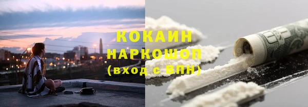прущие грибы Арсеньев