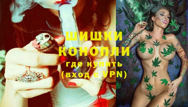 прущие грибы Арсеньев