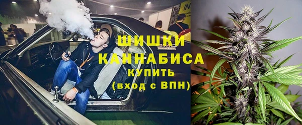 прущие грибы Арсеньев