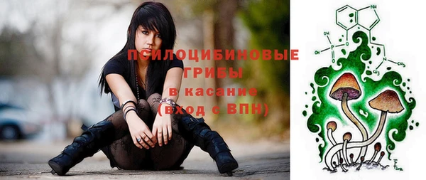 apvp Аркадак