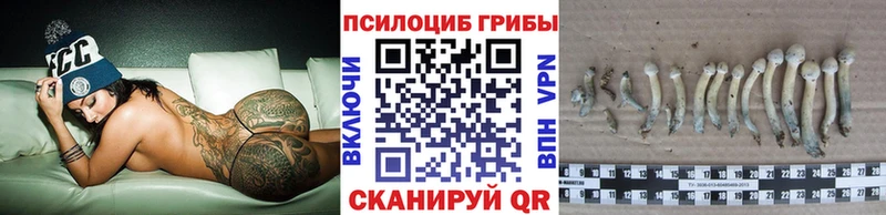 Псилоцибиновые грибы GOLDEN TEACHER  где найти наркотики  Бавлы 