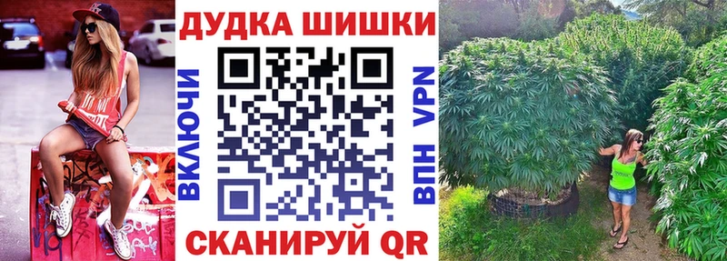 Канабис семена mega зеркало Бавлы